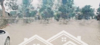 Hàng Hiếm Lô Góc, Mặt Tiền Hơn 20M - Dành Cho Ai Cần Đất Làm Kho Xưởng - Bán Nhanh Giảm Nửa Giá