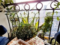 Bán Căn Hộ Toà Ecolife Tố Hữu, 111M2, 3 Phòng Ngủ 2 Vệ Sinh, Full Nội Thất Đẹp, Tầng Trung, 6,9 Tỷ
