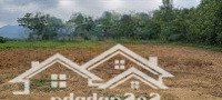 Đất Vườn Đà Nẵng, 1220M2 Ngang 22M Vuông Vắn Bằng Phẳng Xây Nhà Nuôi Gà Đều Được