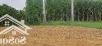 Đất Vườn Đà Nẵng, 1220M2 Ngang 22M Vuông Vắn Bằng Phẳng Xây Nhà Nuôi Gà Đều Được