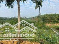 Đón Sóng Metro5 Chuyển Nhượng Khuôn Viên 4500M2 Nhà Vườn Giáp Quần Thể Biệt Thự Hà Nội Tại Hoà Lạc