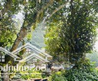 Đất Xây Homestay/Nhà Vườn Nghỉ Dưỡng Có 400M2 Đất Ở