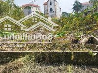 Cần Tiền Xây Nhà Bán Mảnh Đất Ở Xóm Chuôm. Vị Trí Siêu Đắc Địa Trong Lòng Vinhomes Cổ Loa