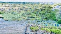 Bán Gấp Nền Đất Sổ Đỏ 1.15 Tỷ, Vị Trí Đẹp. Bán Lỗ So Với Giá Gốc Mua Từ Cđt 0909.063.369