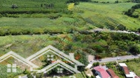 Bán Gấp Lô Đất Có 400M2 Thổ Cư Mặt Tiền Quốc Lộ 29