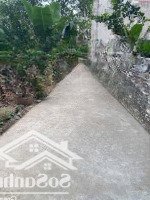 Bán Đất Thái Bình, Mai Lâm, Đông Anh, Hà Nội, Giá Cực Chất 3 Tỷ, 62M2
