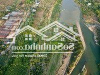 Bán Mảnh Vườn Có Sẵn Cây Ăn Trái Đang Thu Hoạch Tại Diên Thọ - Diên Khánh - Khánh Hòa