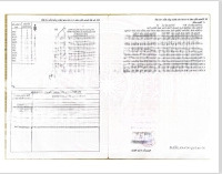 Mua Bán Đất Diện Tích Lớn 100% Thổ Cư Bình Lợi Vĩnh Cửu - Gần 600M2