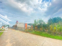 Mua Bán Đất Diện Tích Lớn 100% Thổ Cư Bình Lợi Vĩnh Cửu - Gần 600M2