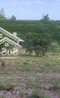 Cần Bán Gấp Lô Đất Ven Biển Triệu Phong 2.155M2 Giá Bán 2,1 Tỷ Rẻ Hơn Tt 40%