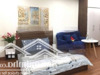 Cho Thuê Chdv Phố Đào Tấn, Ba Đình