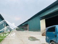 Chính Chủ Cho Thuê Kho, Xưởng Tại Phú Thị - Gia Lâm. Diện Tích 1000M2
