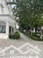 Bán Louis Ii,Diện Tích105M2, Căn Khe Thoáng Duy Nhất Bán, Sẵn Sổ Đỏ, Giá Chỉ 20,5 Tỷ