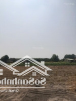 Đất Dự Án Bàu Bàng, Chỉ 400 Triệu Nhận Sổ