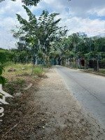 35 Triệu/M2 Đất Thổ Cư Bưng Ông Thoàn Phú Hữu Bao Rẻ Nhất Khu Vực