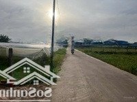 Bán Gấp Đất Tại Đức Lập Hạ, Đức Hòa, Giá Cực Chất 3,95 Tỷ, 732 M2 Full Thổ Cư (Gần Đường Chợ Gà)