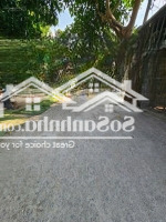 Lô Đất Vip Đường 6M Thông Đào Duy Từ Và Nguyễn Công Trứ. Thổ Cư 102M2