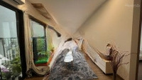 Cần Cho Thuê Căn Hộ 2 Phòng Ngủ 2 Vệ Sinh68M2 Đủ Đồ View Btđ Ban Công Đn Toà S2 Giá 8 Triệu/ Tháng. Liên Hệ: 0964007130 Ạ