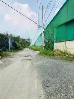 Xưởng Sản Xuất Gỗ, Tân Hoà, Biên Hoà, 1000M 25 Triệu/Tháng
