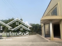 Cho Thuê 4000M2 Kho Xưởng Tại Phù Chuẩn, Từ Sơn, Bắc Ninh, Giá Chỉ 52K/M2. Liên Hệ: 0902132489
