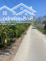 Bán 1300M2 Đất Lúa Đường Bê Tông 4M View Kênh Thuộc Ấp 7, Phước Tân Hưng, Diện Tích: 30 X 43