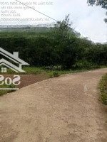 Đất 2 Mặt Tiền Đường, Xã Lộc Phú, Huyện Lộc Ninh, Tỉnh Bình Phước, Giá Cực Chất 135 Triệu, 489 M2