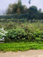 Bán Gấp 200M2 Đất Cổ Đông, Sơn Tây