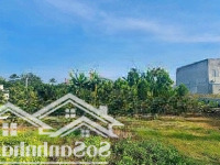 Nhà Vườn 1800M2 Tân Triều Vĩnh Cửu Cần Bán Gấp
