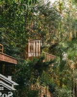 Cho Thuê Khu Homestay Cao Cấp Nhất Nhì Đà Lạt
