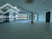 Cho Thuê Tòa Nhàmặt Tiềnlê Trung Nghĩa, P12. Dt: 18X16M. 1 Hầm 7 Tầng. Pccc Đầy Đủ. Giá 140 Triệu/ Tháng.