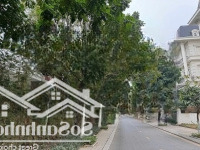 Bán Nhà Cienco 5 Tân Lập Đan Phượng 72 M2 Trục Chính