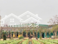 Đất Nền Khu Đô Thị Mới Phí Nam Viện Nhi Thành Phố Hải Dương