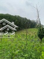 Chính Chủ Bán Lô Đất 9154M2 Tại Phúc Xuân, 1400M2 Thổ Cư, Có Nhà Giá Tốt, Thương Lượng