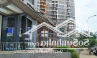 Cần Cho Thuê Shohouse Mbkd The Sunavenue Đang Tìm Khách Thuê Nhannh