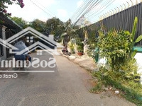 Siêu Phẩm Nhà Phố Mái Thái, Mặt Tiền Dx 024, Phú Mỹ, Tdm, Giảm Giá Sốc, Diện Tích: 10X30M