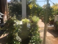 Nhà Mặt Tiền Diện Tích Lớn Tt Thủ Dầu Một, Bình Dương