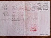 Bán Gấp Lô Đất Chính Chủ Tại Đường Chi Lăng, Tp Vũng Tàu, Liên Hệ Ngay