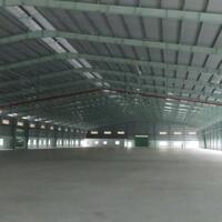 Cho thuê kho xưởng tại Gò Dầu, Tây Ninh.