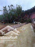 Em Tân Có Lô Đất Giá Rẻ Nhất Khu Vực Tại Xóm 3 Thôn Đông Cao - Tráng Việt (80,2M2)