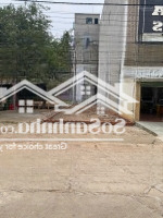 Bán Lô Đất 123,95M2 Full Thổ Cư Tại Xã Tráng Việt, Mê Linh ( Pháp Lý Đầy Đủ )