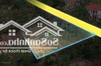 Bán Lô Đất Tặng Nhà Biệt Thự Mới Xây Cách Sân Golf Tam Đảo Chỉ 20 Phút Di Chuyển