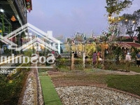 Tiếc Nhưng Phải Bán Biệt Thự Nhà Vườn Do Chuyển Chỗ Ở