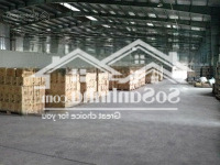 Cho Thuê Kho 530M2 Mặt Tiền Đường Bình Thới, P. 10, Q. 11 - Có Pccc, Xe Container Ra Vào