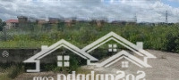 Cần Bán Gấp Đấtmặt Tiềnđ. Phạm Thái Bường, Phường 4,Gần Vincom Plaza Vĩnh Long.giá 500 Triệu/120M2. Shr.