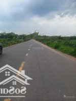 Bán Đất Tại Đt 781, Châu Thành, Tây Ninh, 4,8 Tỷ, 11547 M2 - Hàng Hiếm!