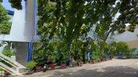 Bán Nhà 3 Tầng Mặt Đường Tiền Thống Nhất P Bình Thọ Tp Thủ Đức Dt: 32.10X50M (Cn 1613M2). 145 Tỷ