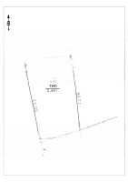 Bán 196M2 (Chia 2 Được) Thôn Dư Xá, Ninh Xá. Huyện Thuận Thành. Bắc Ninh. Liên Hệ: 0985299336