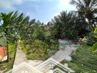 Bán Vườn Có Nhà Tại Phường Vĩnh Mỹ, Châu Đốc
