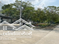 Cho Thuê Nhà Vườn Khu D6, Geleximco Lê Trọng Tấn, View Vườn Hoa, Đường To, Để Được Nhiều Ô Tô.