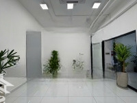Cho Thuê Nhà Chính Chủ Sala, Có Hầm + 4 Tầng, Nhà Đẹp, Hoàn Thiện Sẵn, Nhận Nhà Ngay